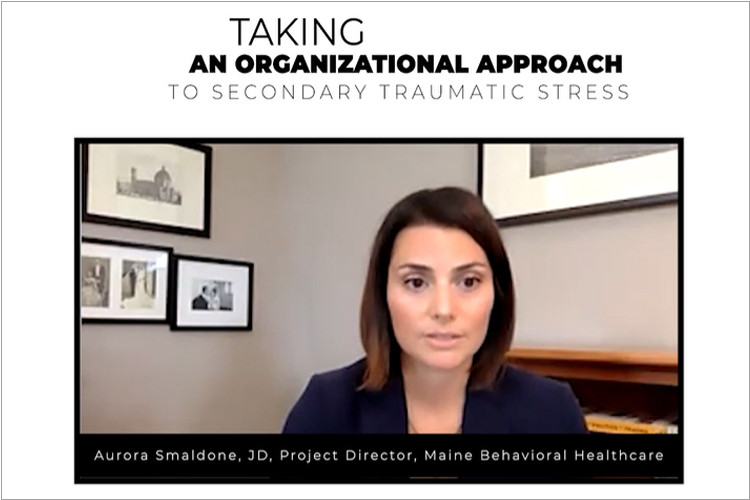Taking an Organizational Approach to Secondary Traumatic Stress video
